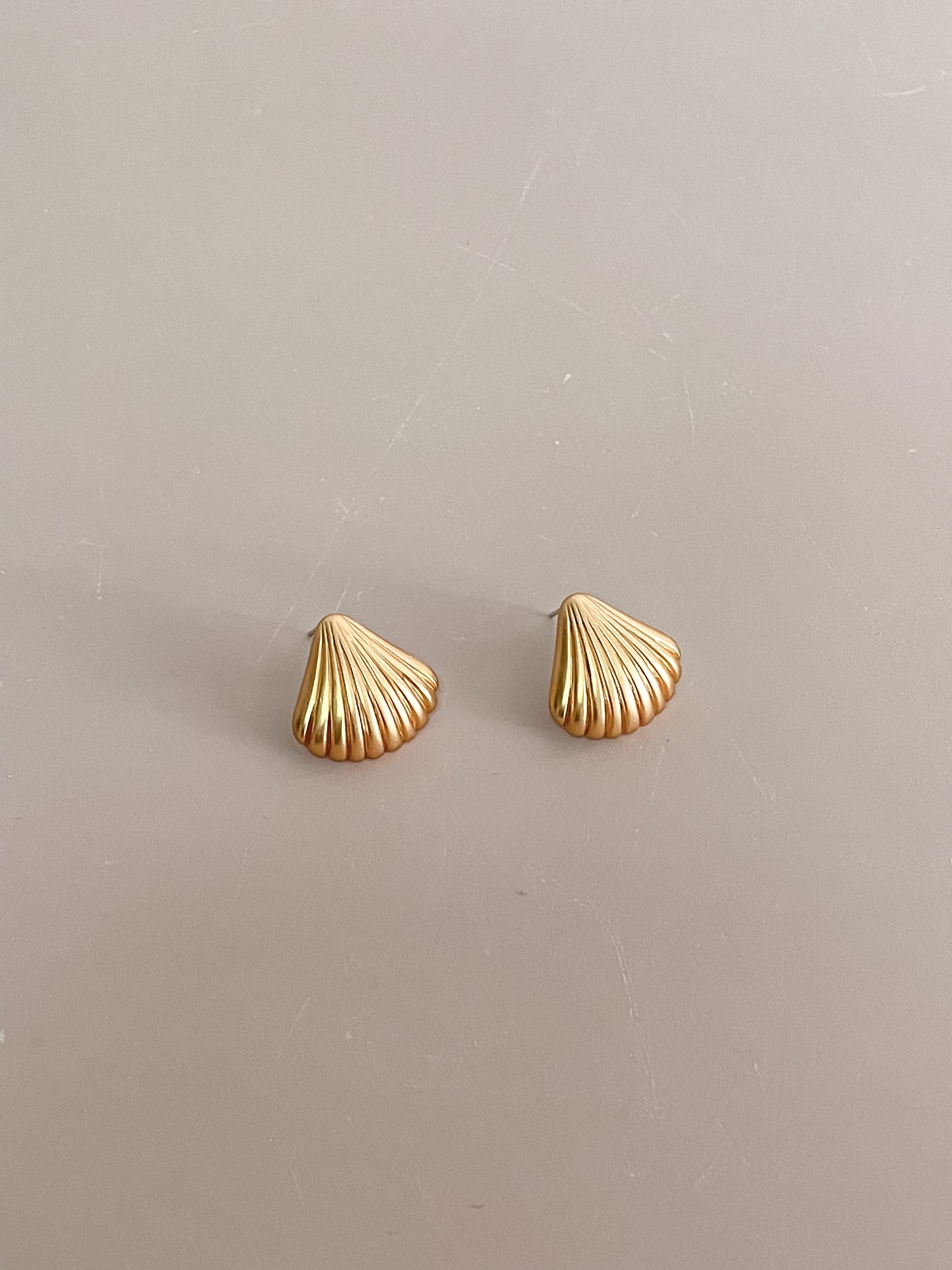 Shell Shaped Earrings