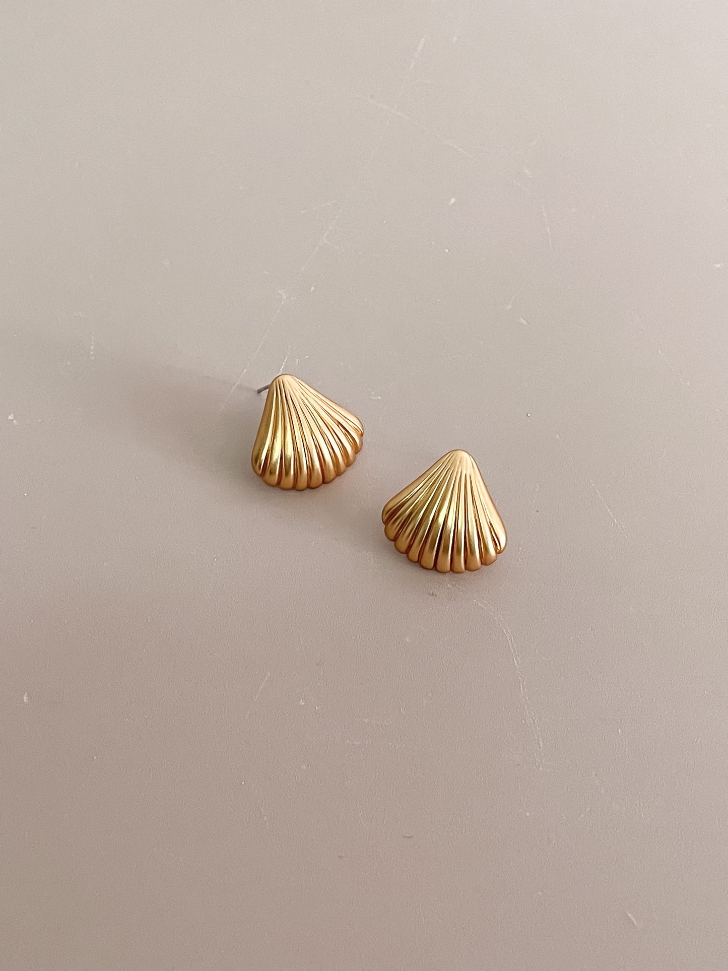 Shell Shaped Earrings