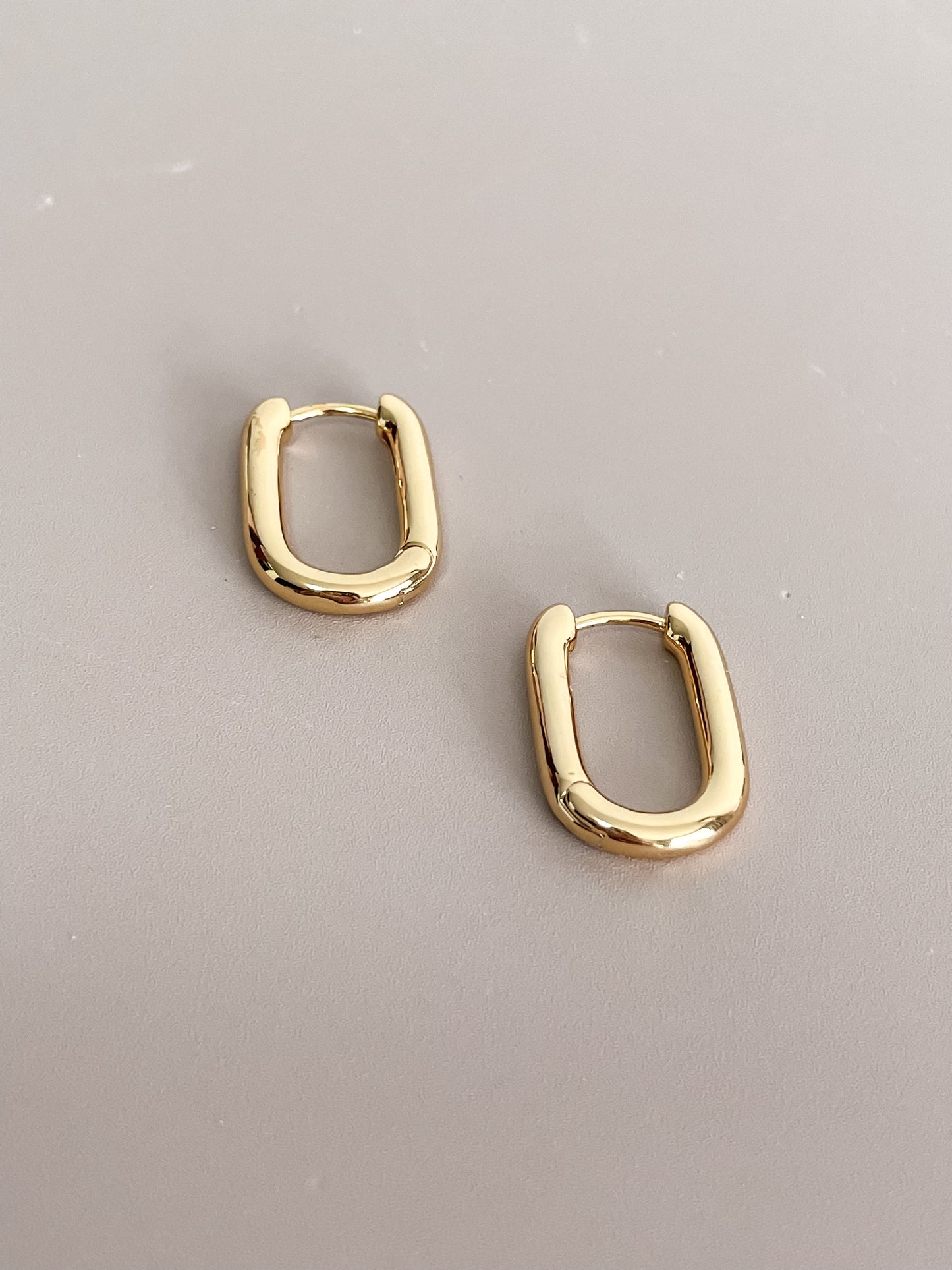 Oval Hoop Earrings