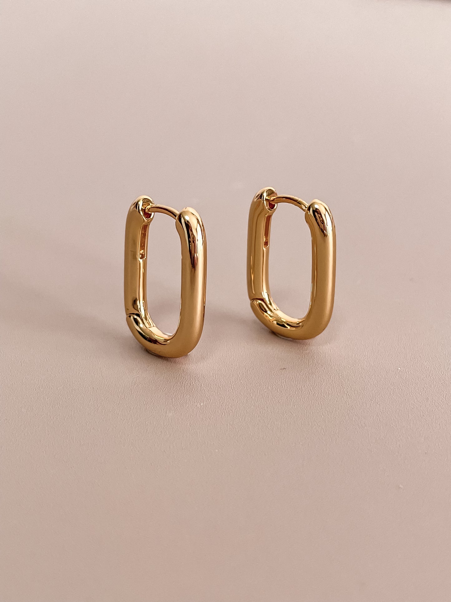 Oval Hoop Earrings
