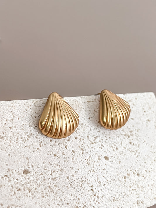 Shell Shaped Earrings